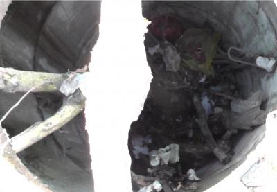 Прикрепленное изображение: ~S2600013.jpg